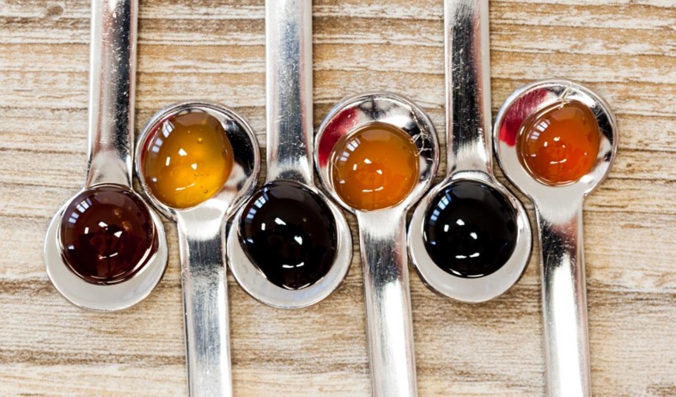 Liquid non diastatic malt extracts Malteurop